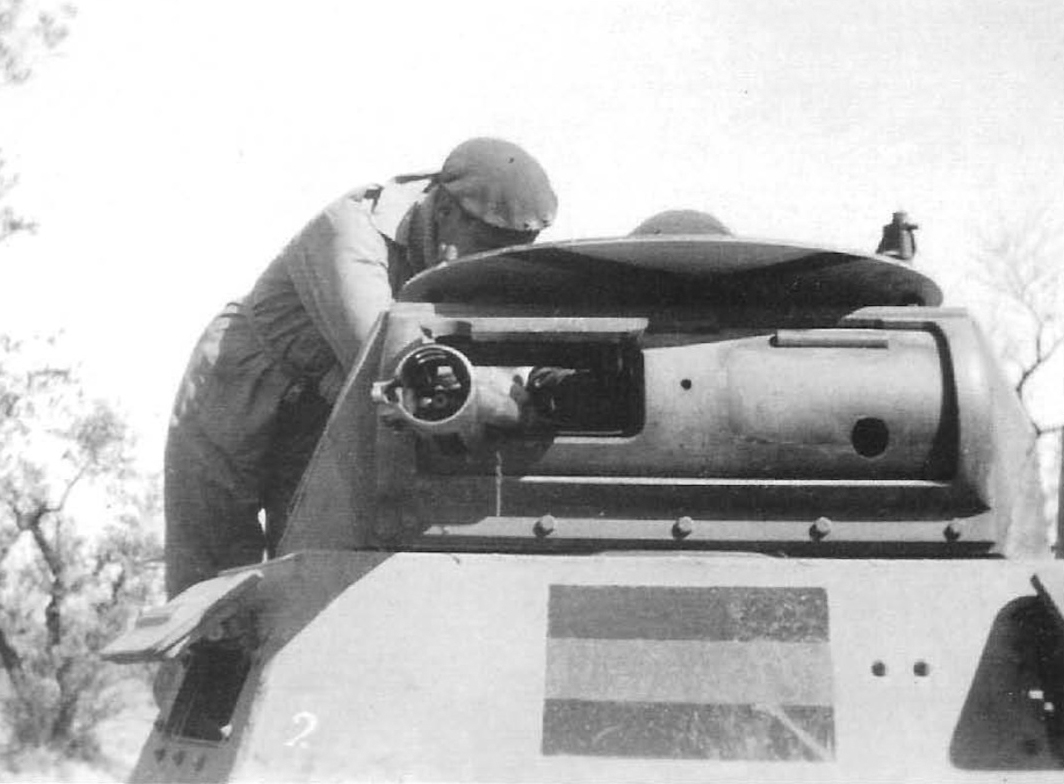 Flammpanzer I flame-throwing tank
